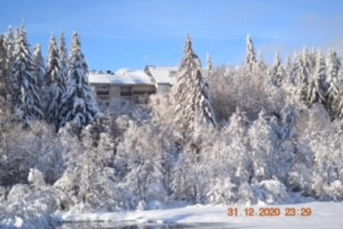 Ferienwohnung Lo Vedelier D'Aubrac Laguiole Exterior foto