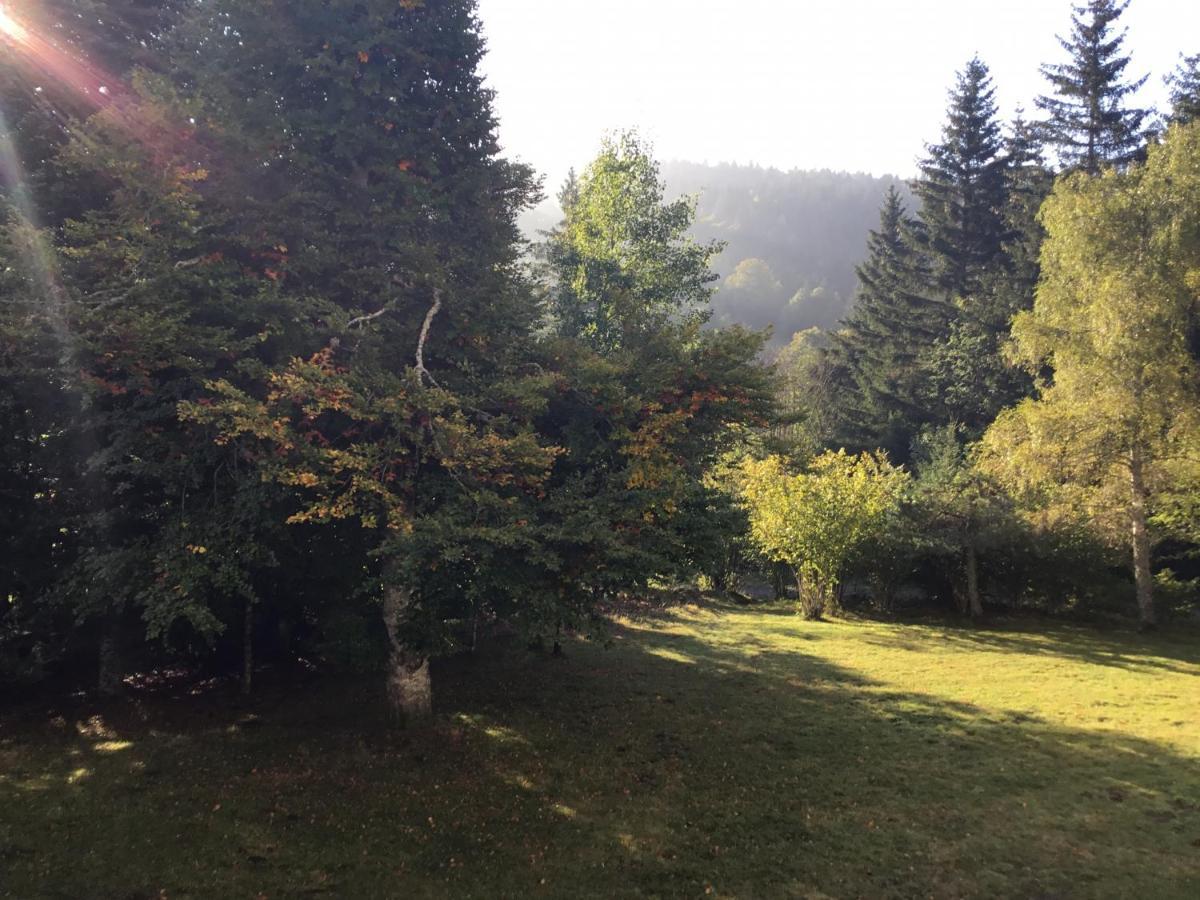 Ferienwohnung Lo Vedelier D'Aubrac Laguiole Exterior foto
