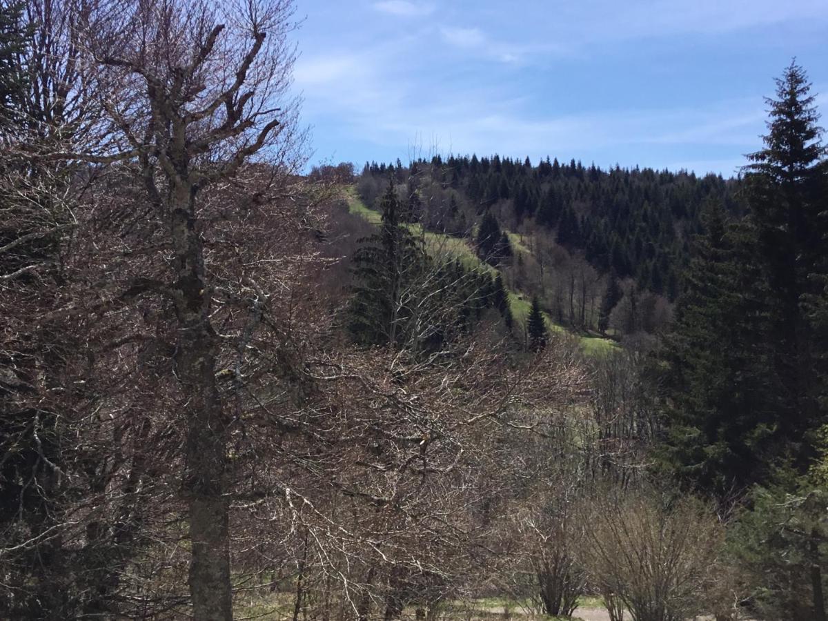 Ferienwohnung Lo Vedelier D'Aubrac Laguiole Exterior foto