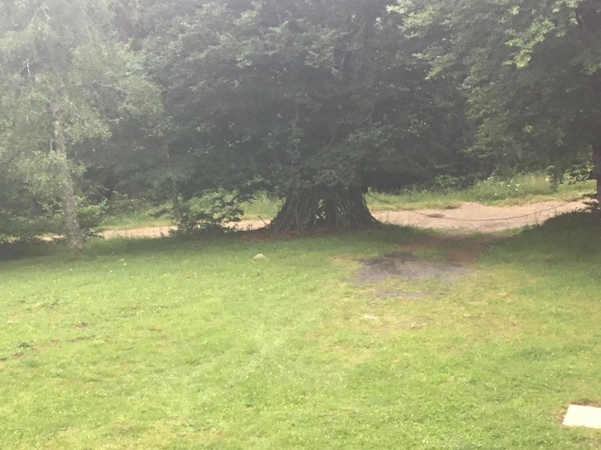 Ferienwohnung Lo Vedelier D'Aubrac Laguiole Exterior foto