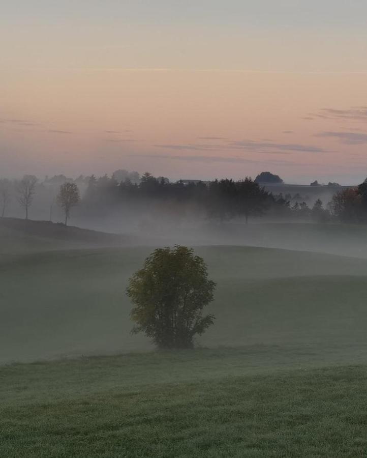 Ferienwohnung Lo Vedelier D'Aubrac Laguiole Exterior foto